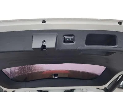 2019 Hyundai Santa FE KMHS581CBKU116989 VIN:KMHS581CBKU116989