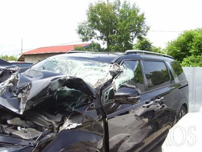 2023 Kia Carnival KNANE81BBPS292649 VIN:KNANE81BBPS292649