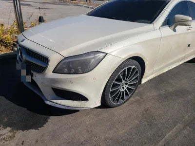 2017 Mercedes-Benz CLS 250 WDDLJ9HB9HA204229 VIN:WDDLJ9HB9HA204229