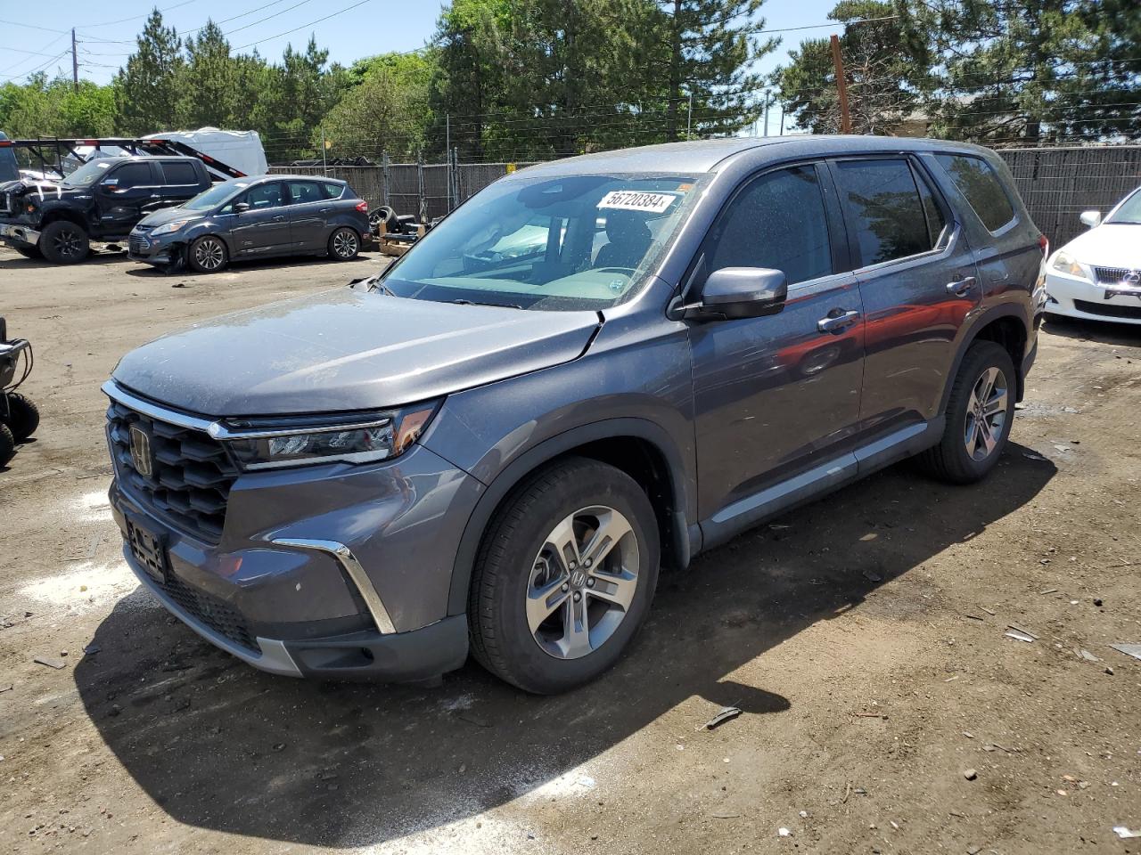 2024 HONDA PILOT EXL VIN:5FNYG1H42RB014962