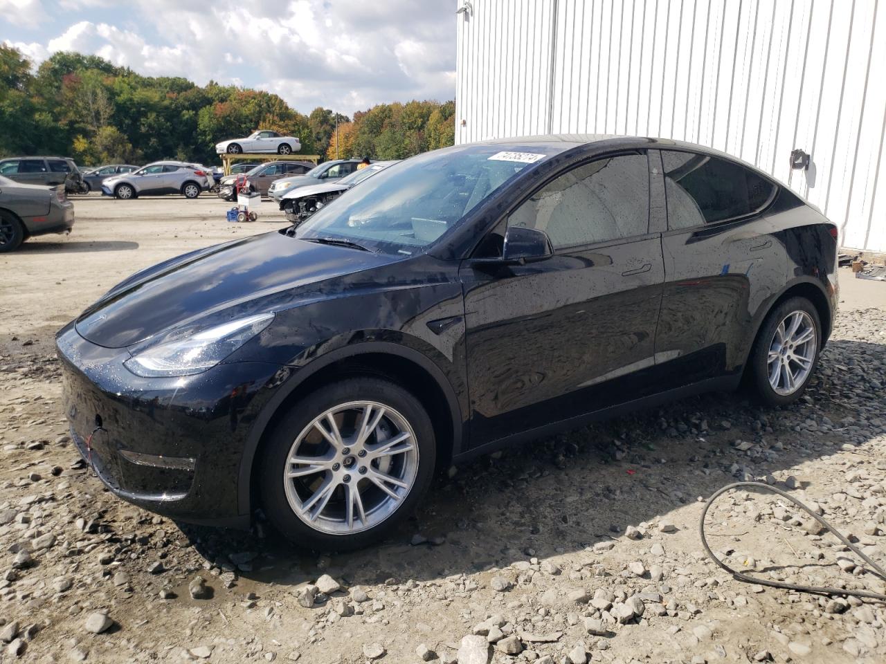 2024 TESLA MODEL Y  VIN:7SAYGDEE3RA227935