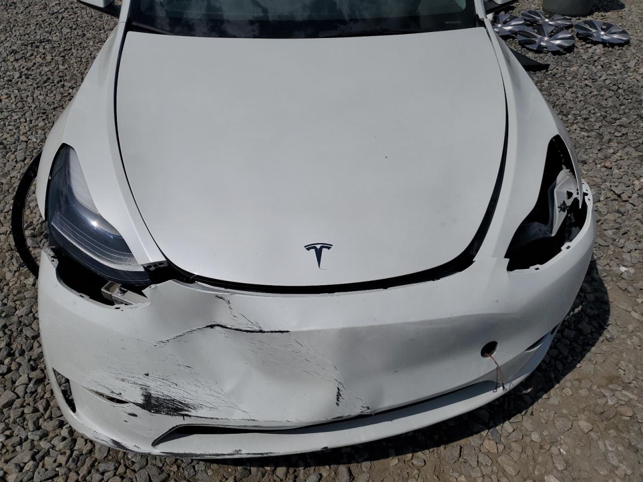 2023 TESLA MODEL Y  VIN:7SAYGDEE2PF794816