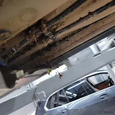 2021 BMW X4 M NONE VIN: