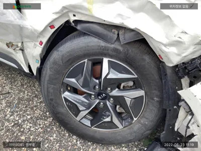 2020 Kia Sorento KNARH81GBMA020392 VIN:KNARH81GBMA020392