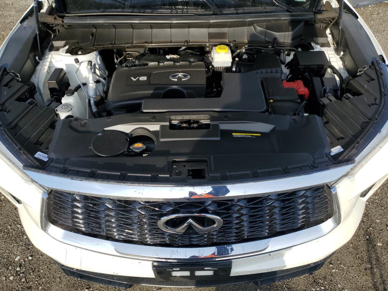 2024 INFINITI QX60 LUXE VIN:5N1DL1FS1RC331491