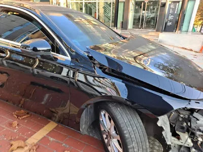 2020 Mercedes-Benz A 220 W1K3G4EB3LJ201809 VIN:W1K3G4EB3LJ201809