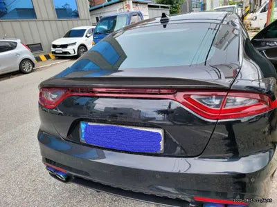 2020 Kia Stinger KNAE751CDLS070299 VIN:KNAE751CDLS070299