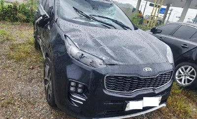 2016 Kia Sportage 121KMKNAPM813BGK0 VIN:121KMKNAPM813BGK0