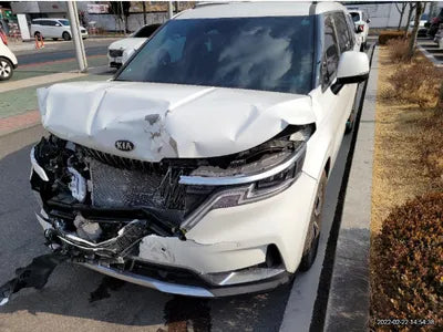 2021 Kia Carnival KNHNC373BMS053651 VIN:KNHNC373BMS053651