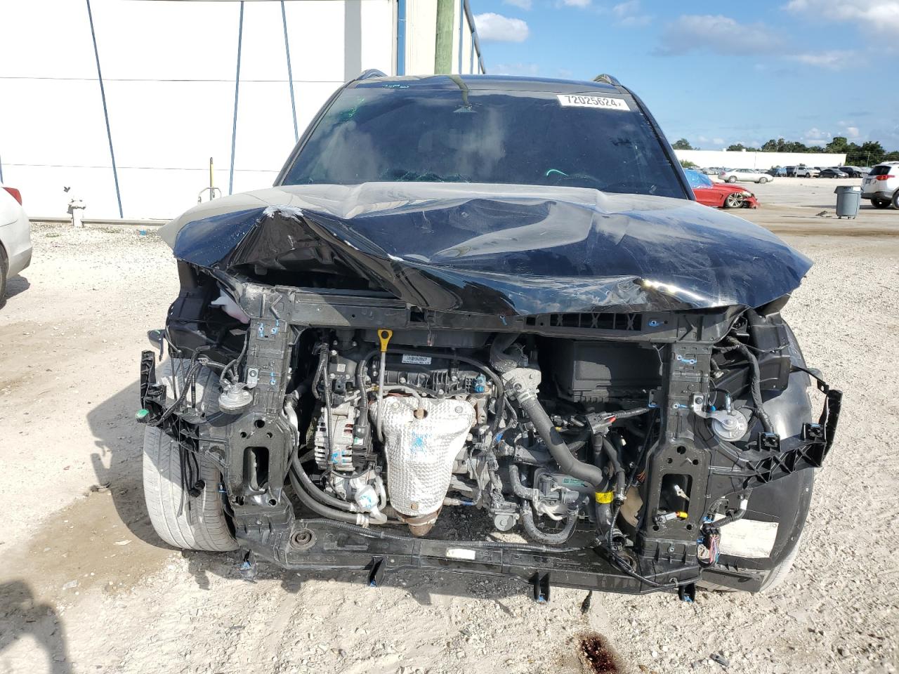 2024 KIA TELLURIDE EX VIN:5XYP3DGC7RG455397