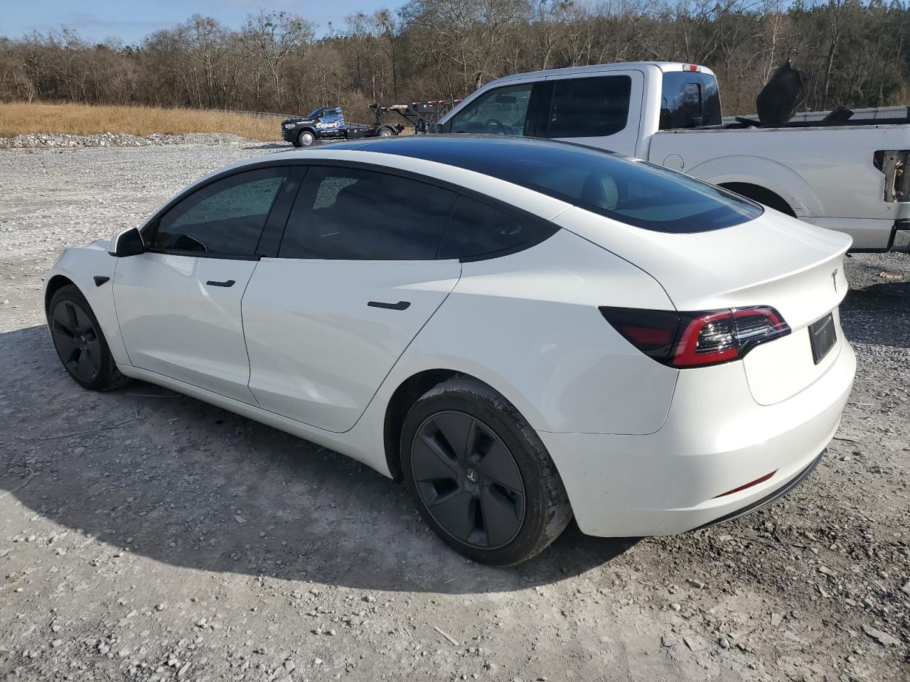 2023 TESLA MODEL 3  VIN:5YJ3E1EA8PF555117