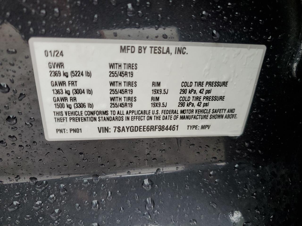 2024 TESLA MODEL Y  VIN:7SAYGDEE6RF984461