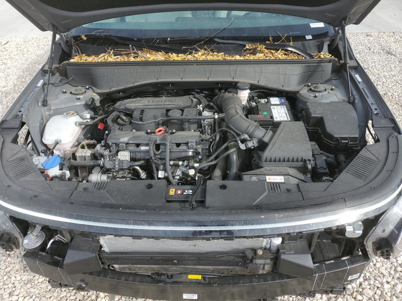 2024 HYUNDAI KONA LIMITED VIN:KM8HECA39RU024491