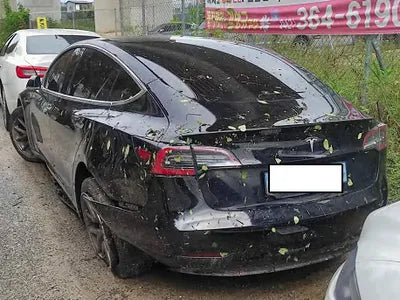 2020 Tesla Model 3 5YJ3E1EA8LF629890 VIN:5YJ3E1EA8LF629890