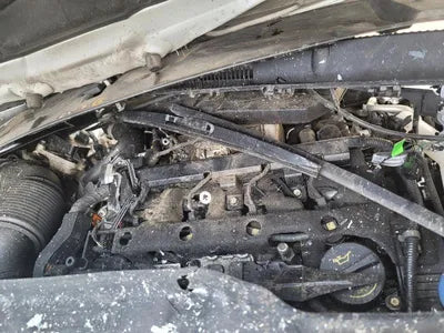 2021 Kia Carnival KNANC81BBMS004700 VIN:KNANC81BBMS004700