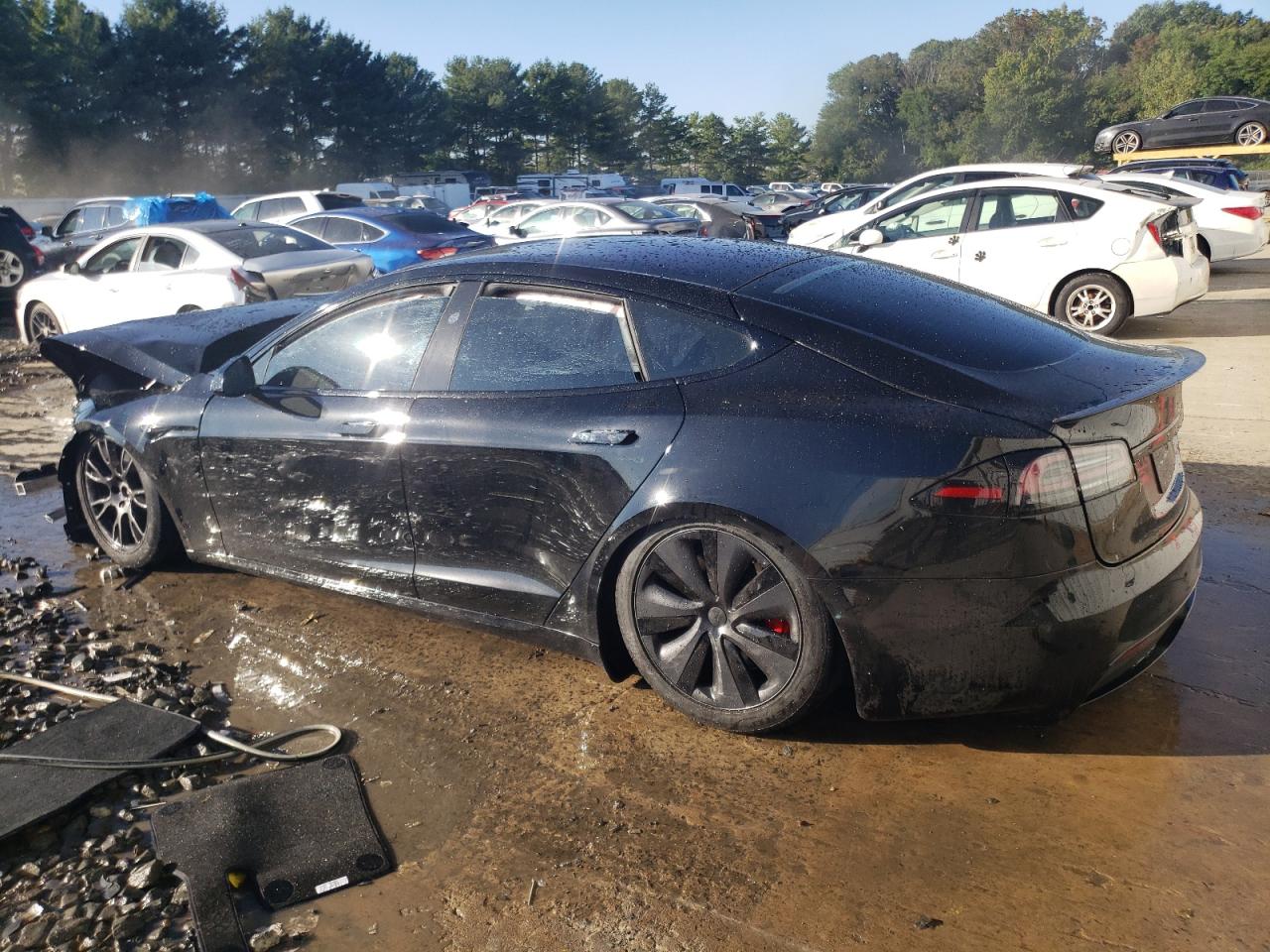 2023 TESLA MODEL S  VIN:5YJSA1E63PF524294