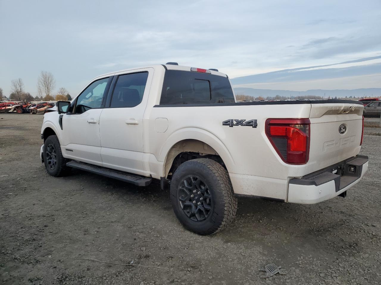 2024 FORD F150 XLT VIN:1FTFW3LD4RFB47697
