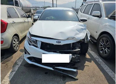2019 Kia K5 KNAGT416BKA309881 VIN:KNAGT416BKA309881