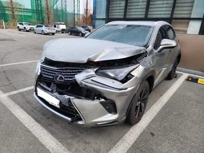 2019 Lexus NX 300 JTJBJRBZ0K2124361 VIN:JTJBJRBZ0K2124361