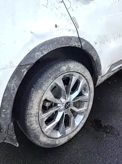 2021 Kia Sorento KNARF81BGMA104013 VIN:KNARF81BGMA104013