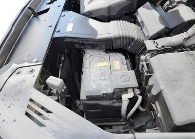 2019 Hyundai Santa FE KMHS281BBKU176591 VIN:KMHS281BBKU176591