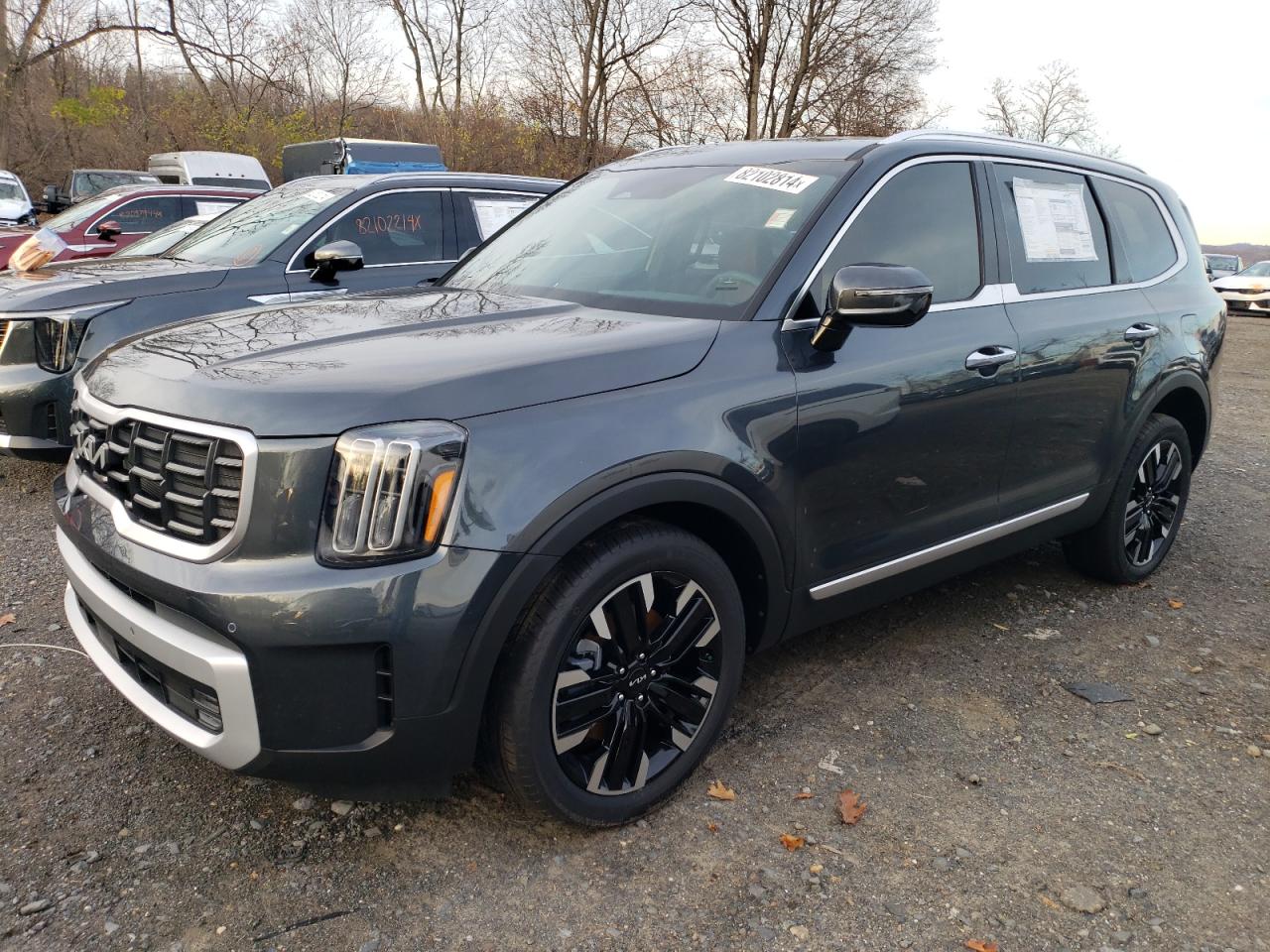 2024 KIA TELLURIDE SX VIN:5XYP5DGC5RG541334