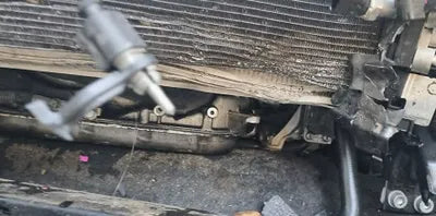 2021 Audi 50 WAUZZZF16MD005622 VIN:WAUZZZF16MD005622