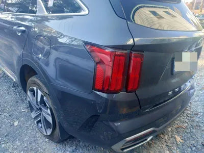 2021 Kia Sorento KNARK81GBMA040541 VIN:KNARK81GBMA040541