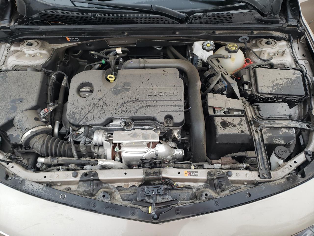 2023 CHEVROLET MALIBU LT VIN:1G1ZD5ST0PF135107