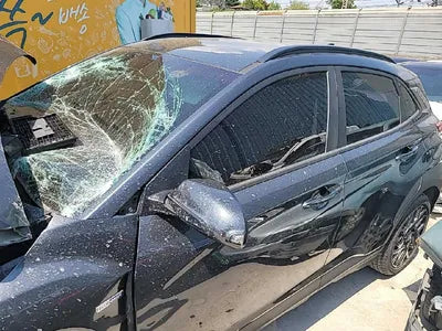 2020 Hyundai Kona KMHK381EGLU009951 VIN:KMHK381EGLU009951