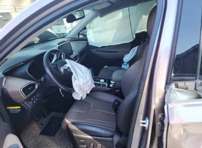 2020 Hyundai Santa FE KMHS381CDLU246684 VIN:KMHS381CDLU246684