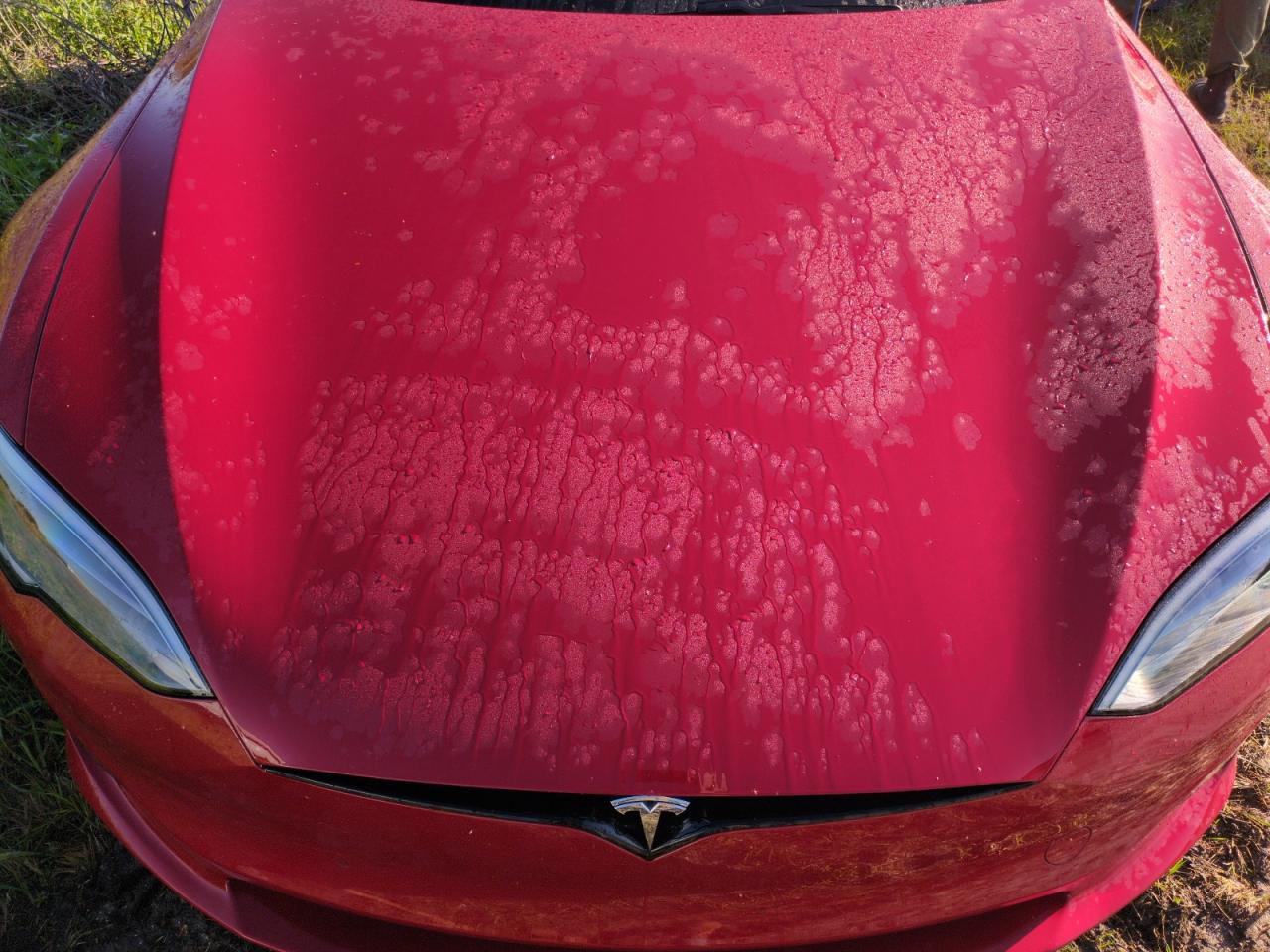 2022 TESLA MODEL S  VIN:5YJSA1E58NF488560