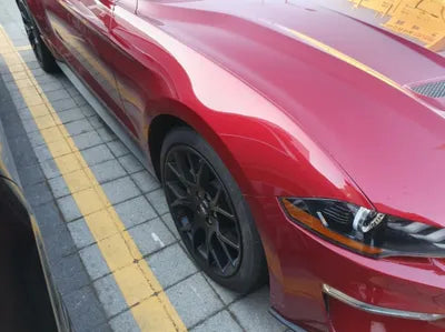 2019 Ford Mustang 1FATP8UH3K5196891 VIN:1FATP8UH3K5196891
