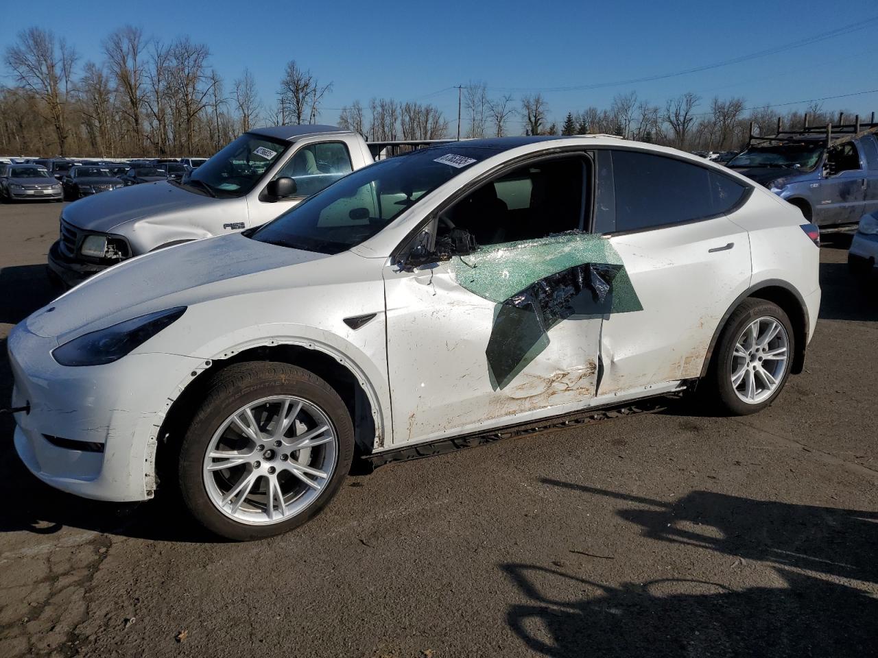 2024 TESLA MODEL Y  VIN:7SAYGDEE0RF044320