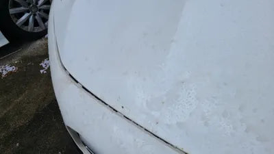 2021 Mercedes-Benz B 250 W1N4M4HB4MW101928 VIN:W1N4M4HB4MW101928