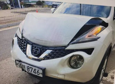 2015 Nissan Juke JN1AF58E2FT100109 VIN:JN1AF58E2FT100109