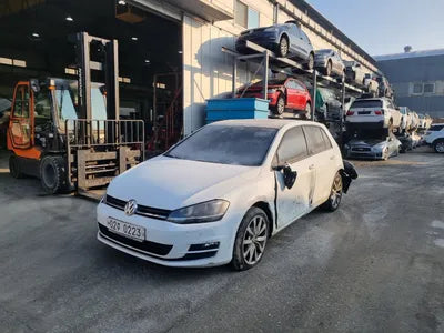 2016 Volkswagen Golf WVWZZZAUZGW045638 VIN:WVWZZZAUZGW045638