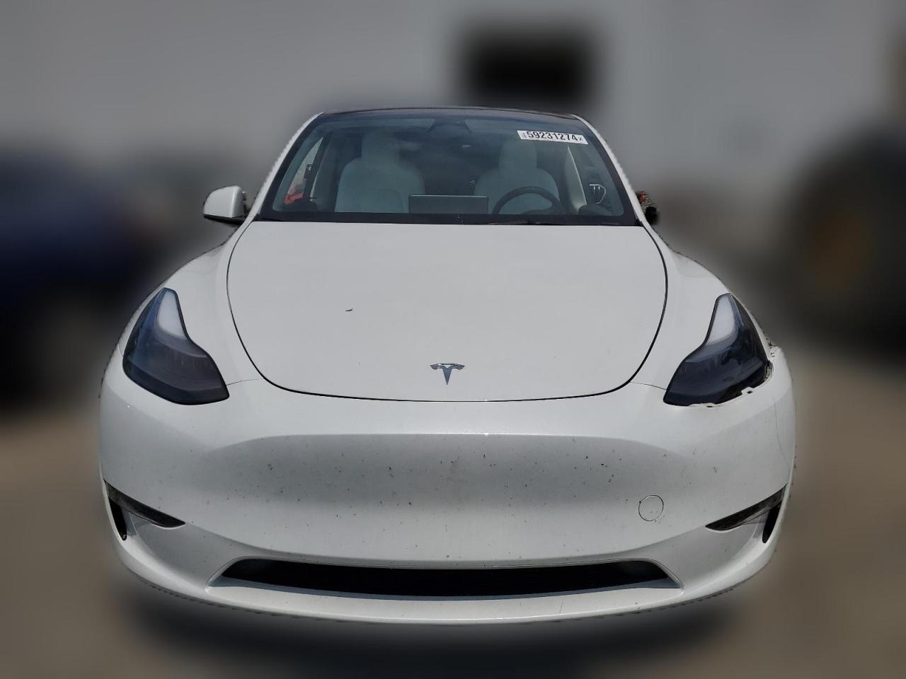 2023 TESLA MODEL Y  VIN:7SAYGDEE2PF700742