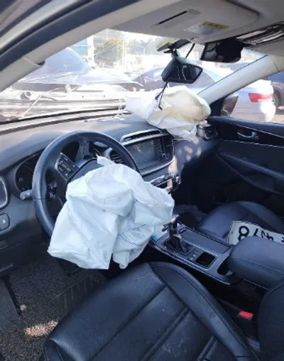2018 Kia Sorento KNAPG81ABJA449790 VIN:KNAPG81ABJA449790