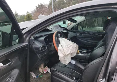 2021 Hyundai Santa FE KMHS281HHMU324774 VIN:KMHS281HHMU324774