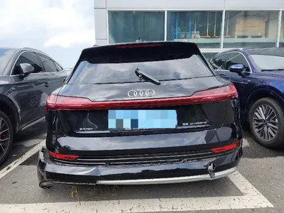 2022 Audi e-tron VIN: