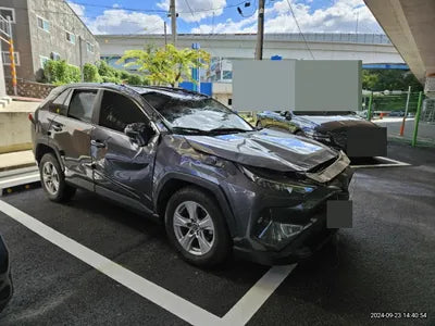 2019 Toyota RAV4 VIN:
