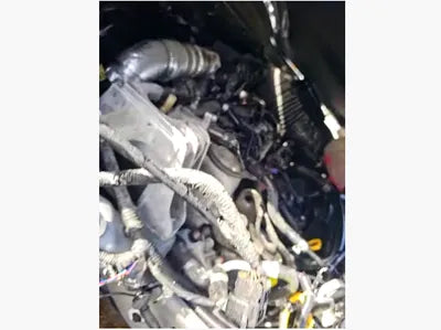 2020 Hyundai Kona KMHK4815GLU652562 VIN:KMHK4815GLU652562