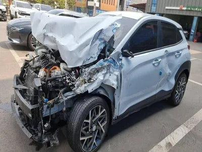 2020 Hyundai Kona KMHK281EGLU037012 VIN:KMHK281EGLU037012