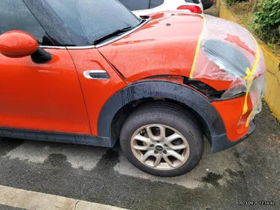 2019 MINI Cooper WMWWG510XK3K11318 VIN:WMWWG510XK3K11318