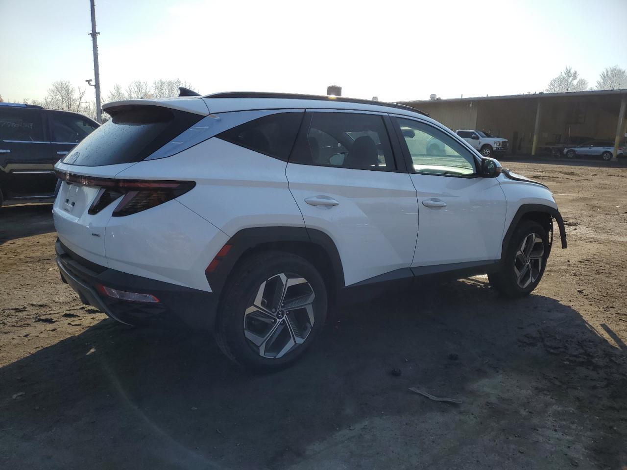 2024 HYUNDAI TUCSON LIMITED VIN:5NMJECDEXRH295036
