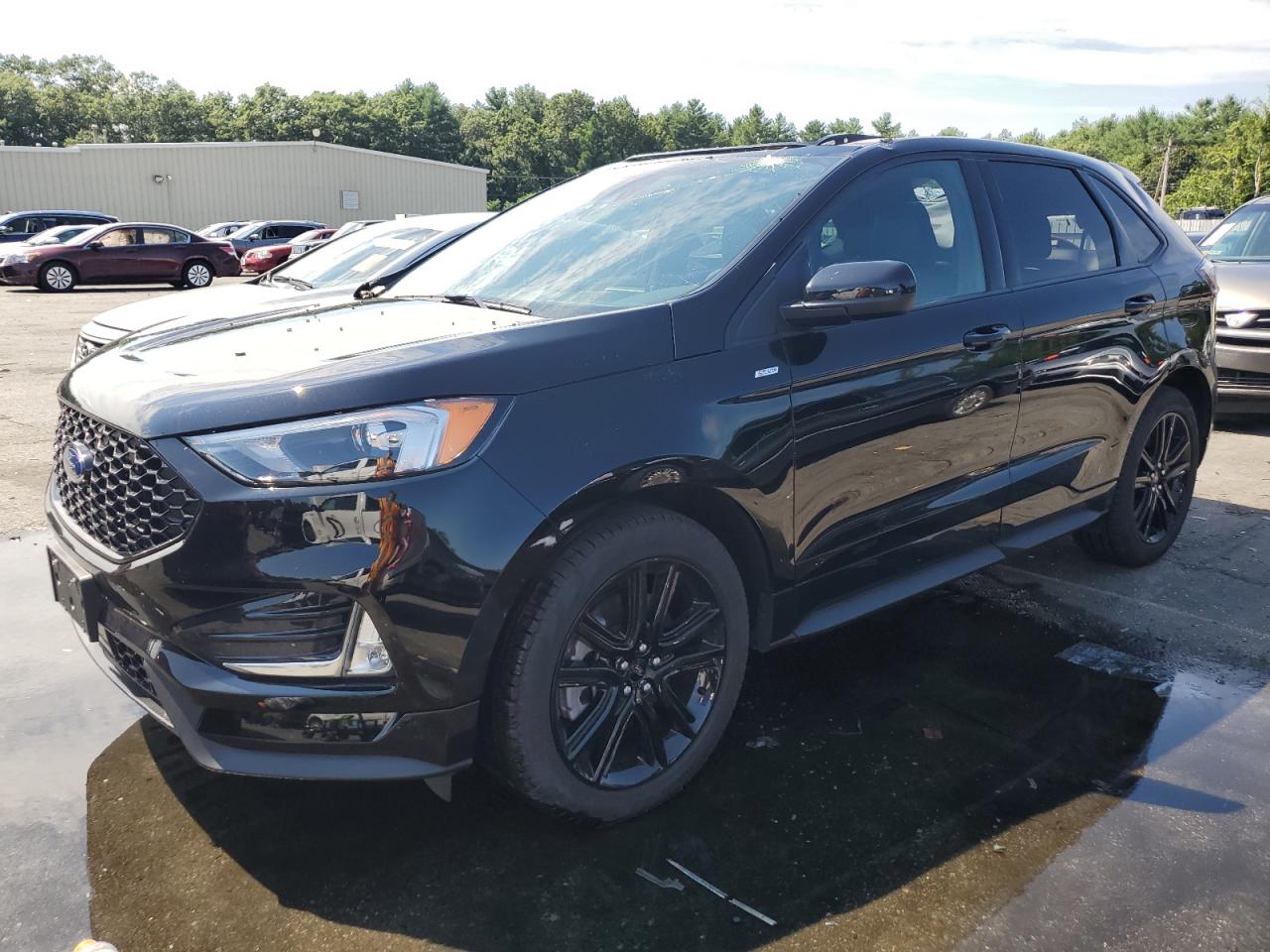 2024 FORD EDGE SEL VIN:2FMPK4J98RBA43165