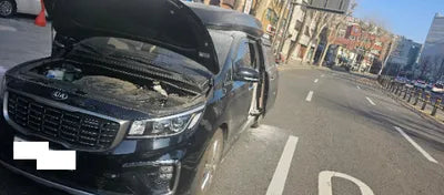 2020 Kia Carnival KNAME811BLS657008 VIN:KNAME811BLS657008