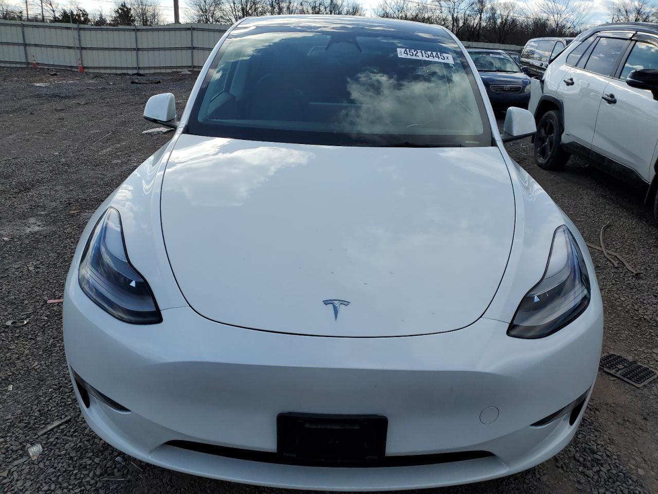 2023 TESLA MODEL Y  VIN:7SAYGDEE7PF674655