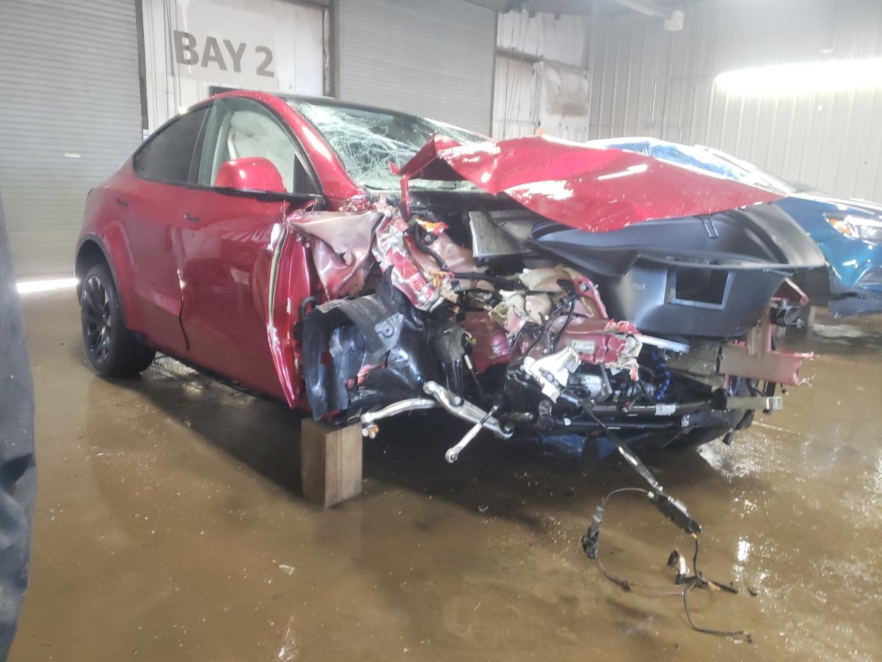 2024 TESLA MODEL Y  VIN:7SAYGDEE7RA293534